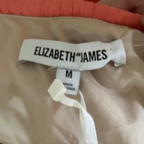 Elizabeth and James Sexy Coral Silk Spaghetti Strap Dress  Size M     NWT - Picture 9 of 13